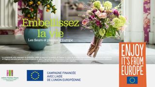 Trois posters en formats paysage ou portrait, trois photos en trois résolutions et un spot vidéo de 20 secondes sont téléchargeables pour relayer la campagne européenne « Embellissez la vie ». ©Val’hor Trois posters en formats paysage ou portrait, trois photos en trois résolutions et un spot vidéo de 20 secondes sont téléchargeables pour relayer la campagne européenne « Embellissez la vie ». ©Val’hor